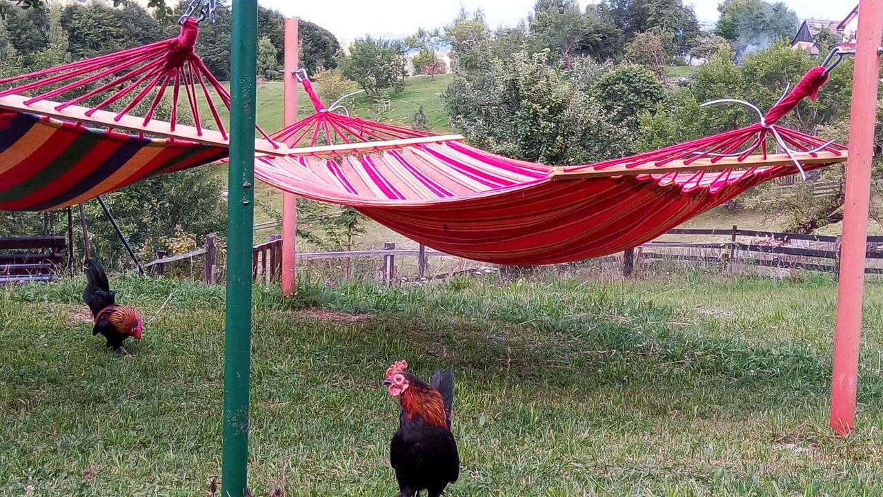 Pensiunea Tabacaru Peştera Eksteriør bilde